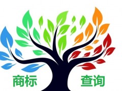 如何應(yīng)對商標(biāo)查詢盲期？